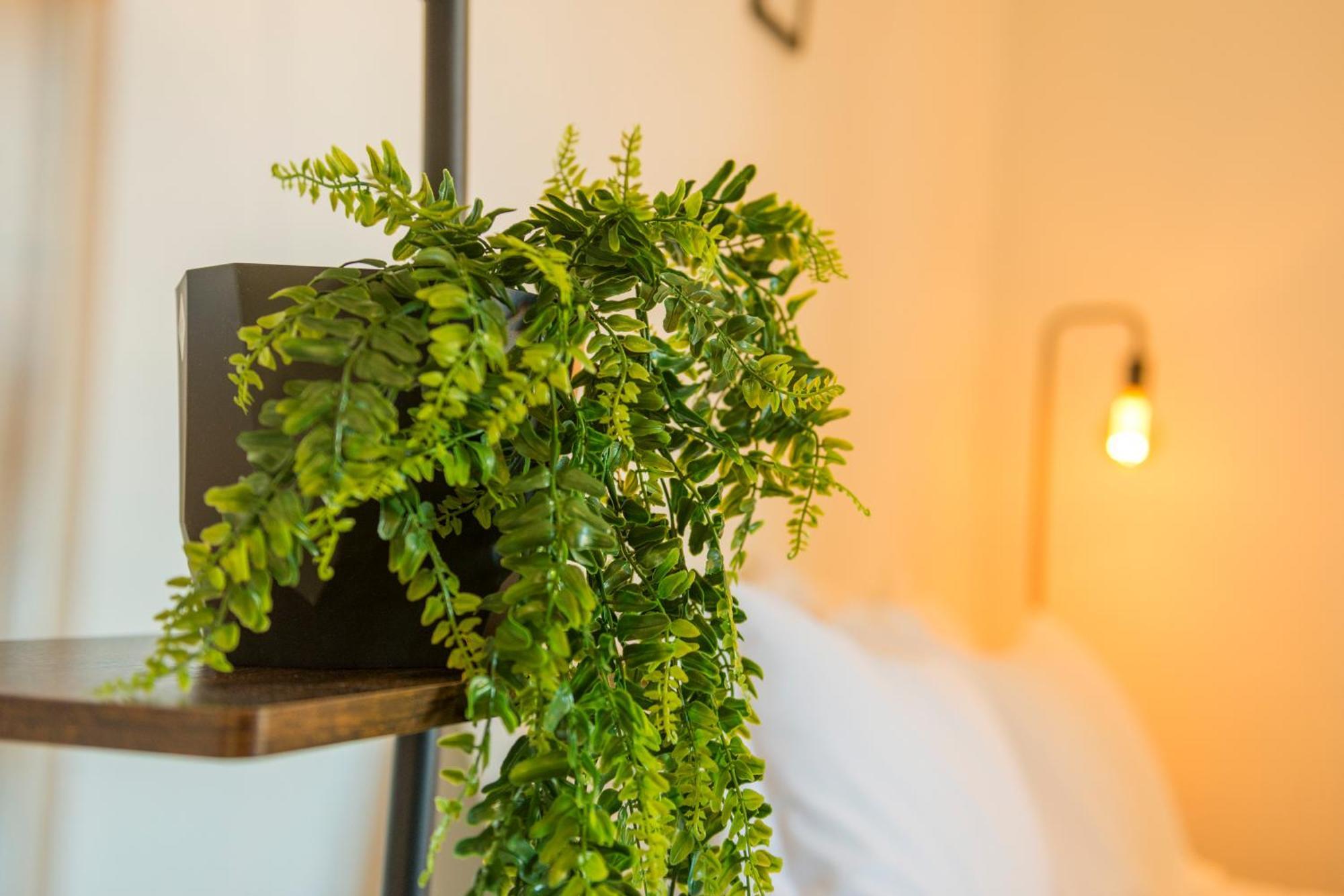 רומא Studio In Trastevere Village מראה חיצוני תמונה